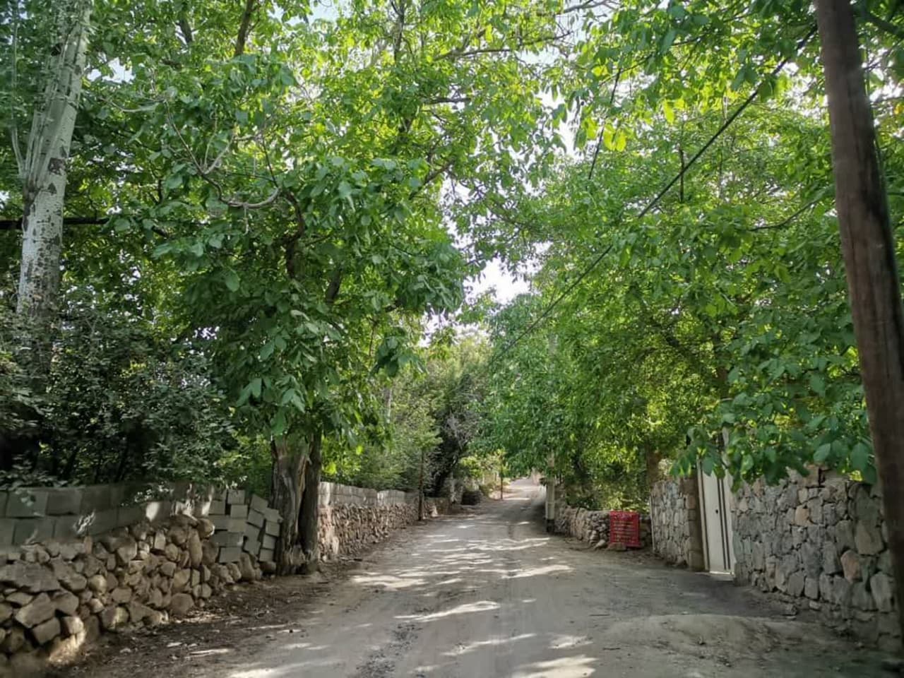 خونه باغ